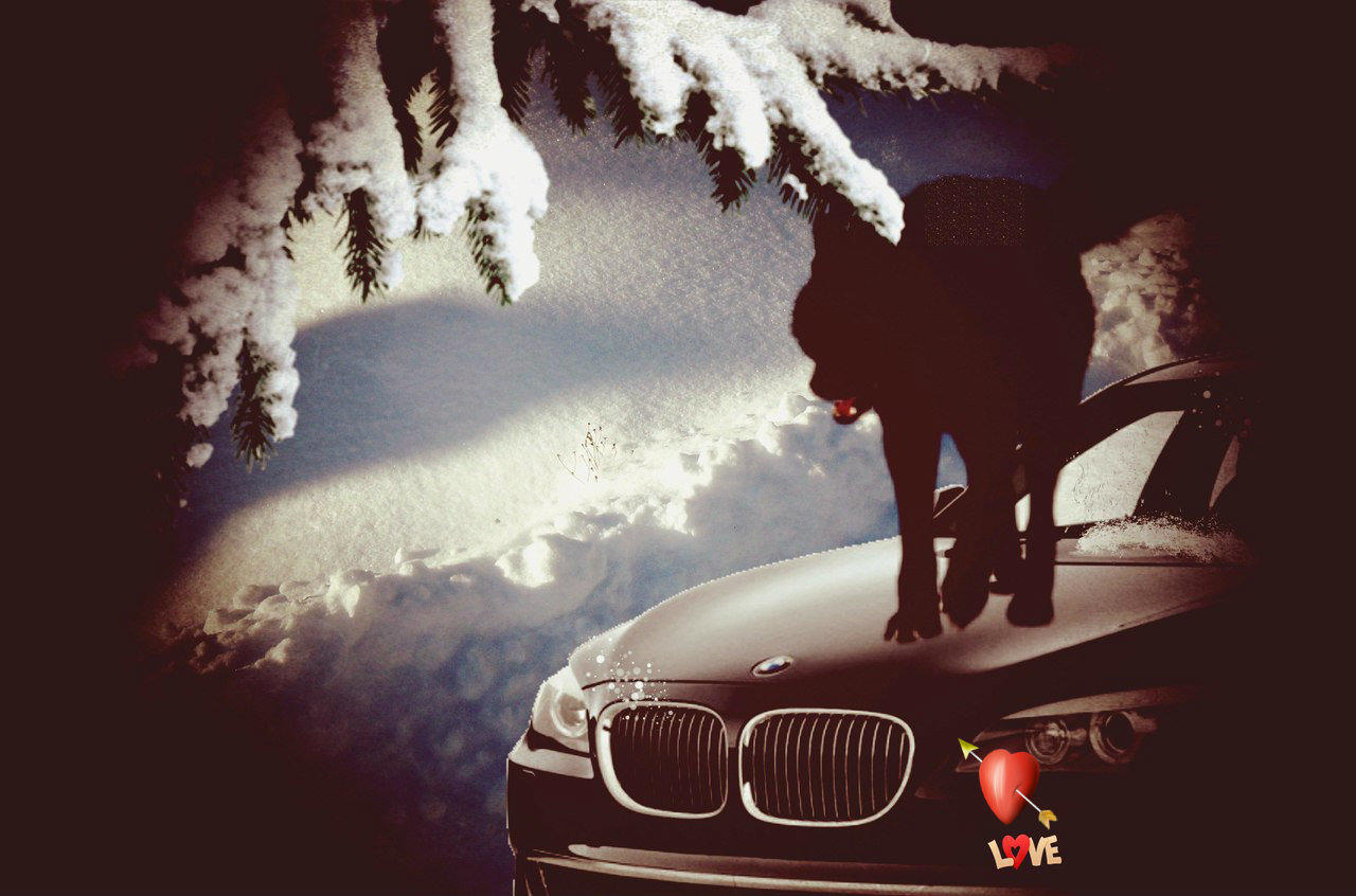 авансируй стихи любовью