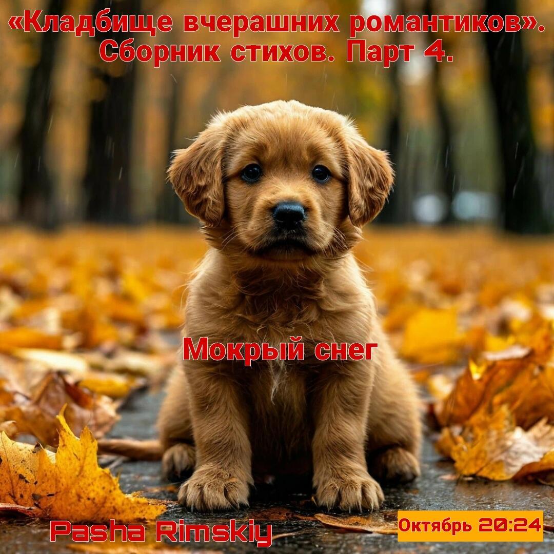 Мокрый снег