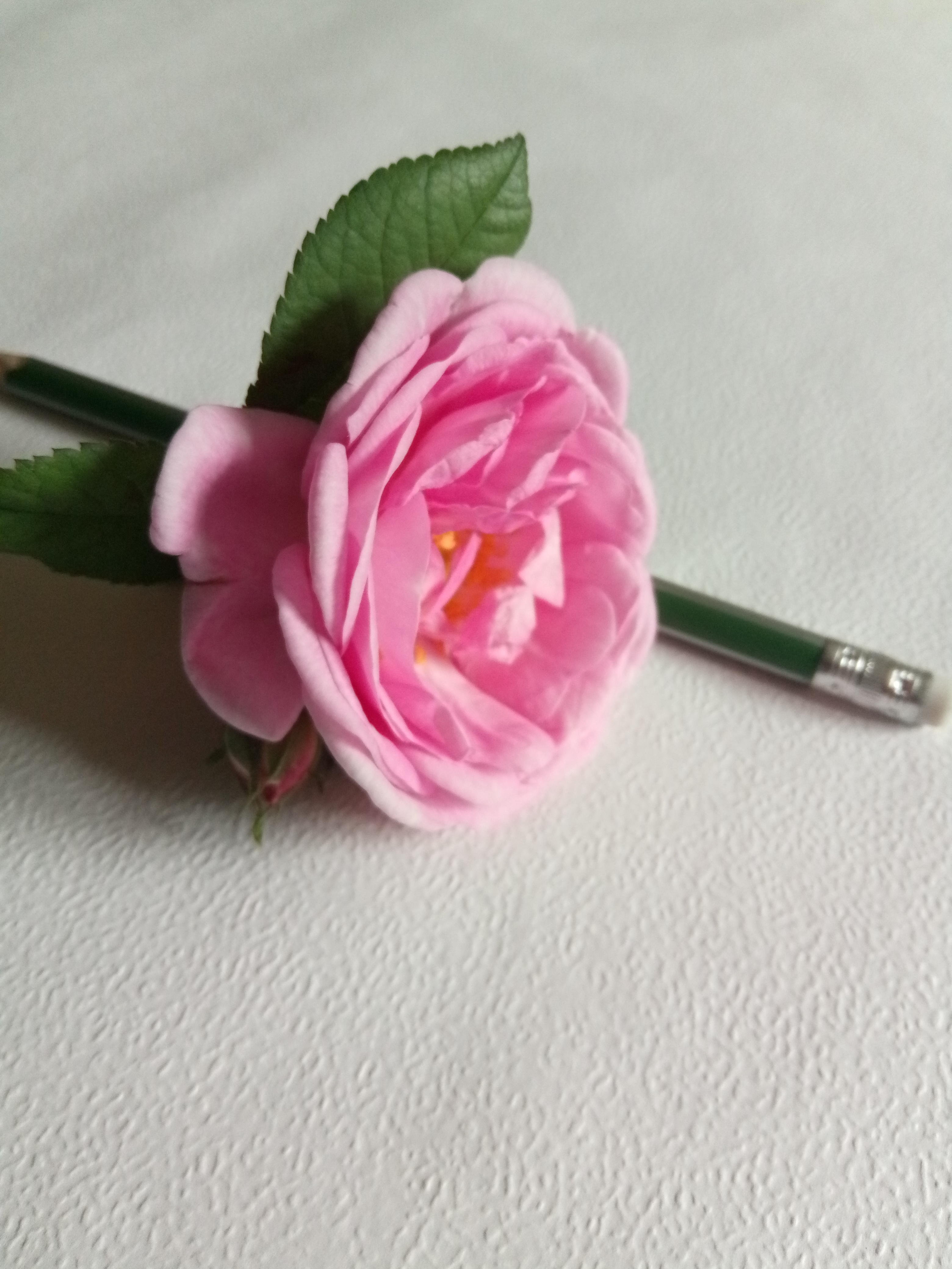 Вспоминай. Обещаю.