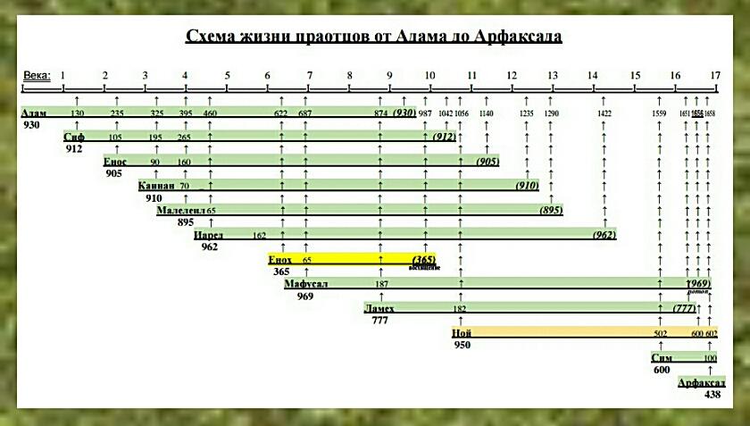 Бытие, глава 5 - перевод с иврита