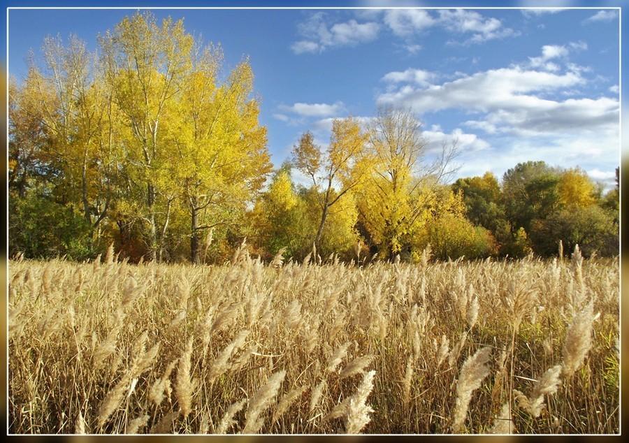 Бабье лето.