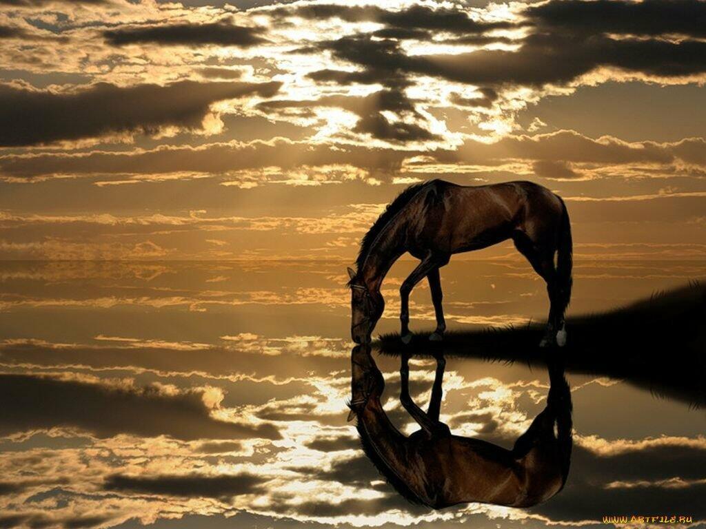 Ответ поэту - Фалеев Владимир - РАЗДУМЬЯ У ТИХОГО ДОНА