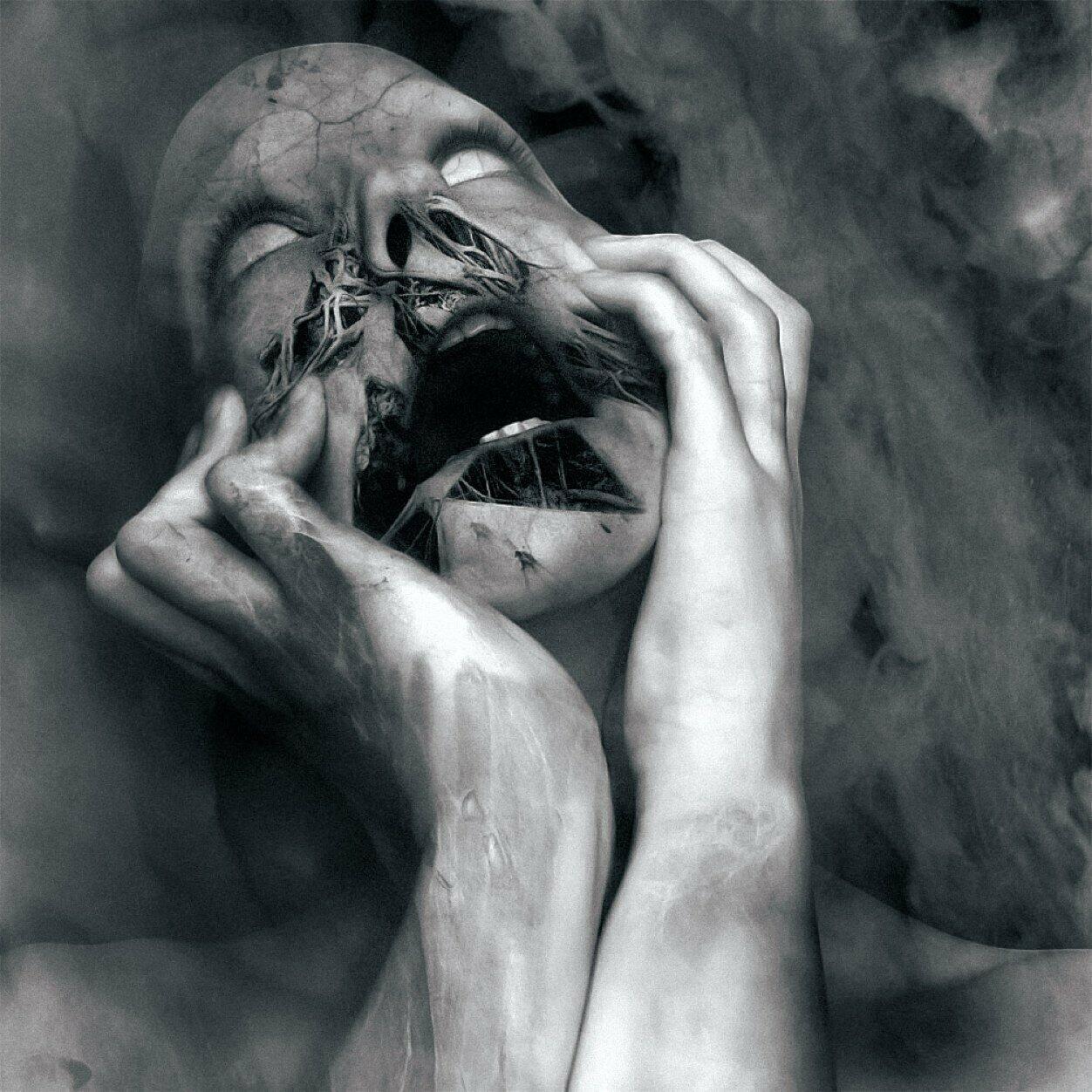 Держишь крепко мозги свои скудные