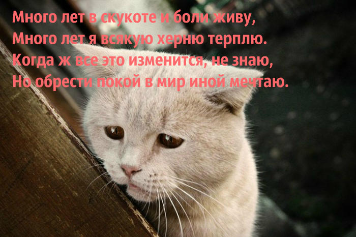 Скукота