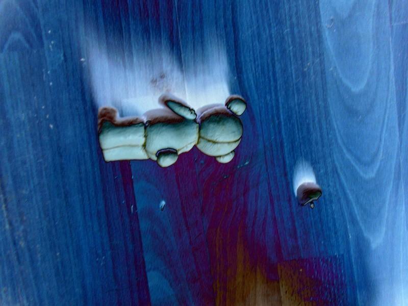 Топтыгин и Балет