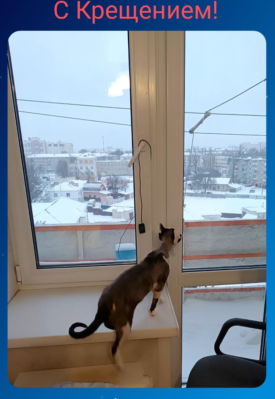 Заразиться светом!