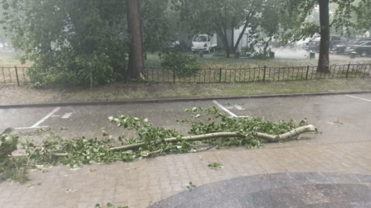 Строптивый ветер