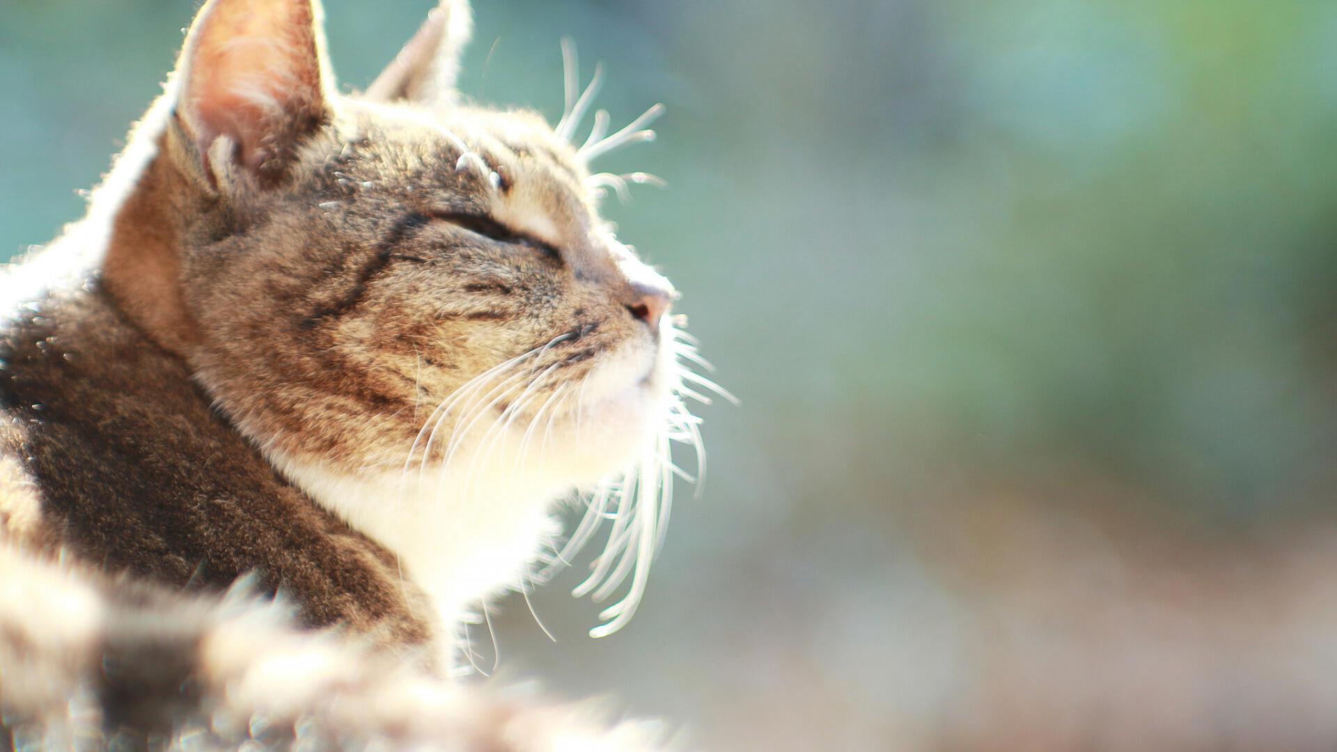 И . . . О ПОГОДЕ