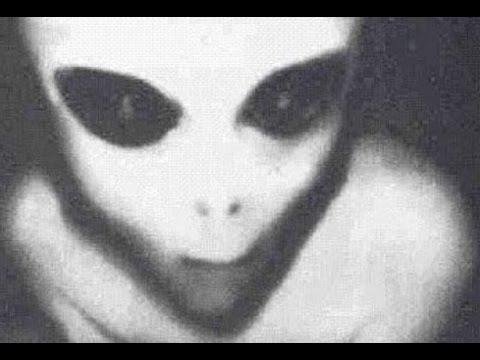 Серые человеки