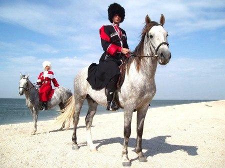 Maestro - При лужке