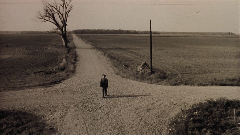 Биография 2