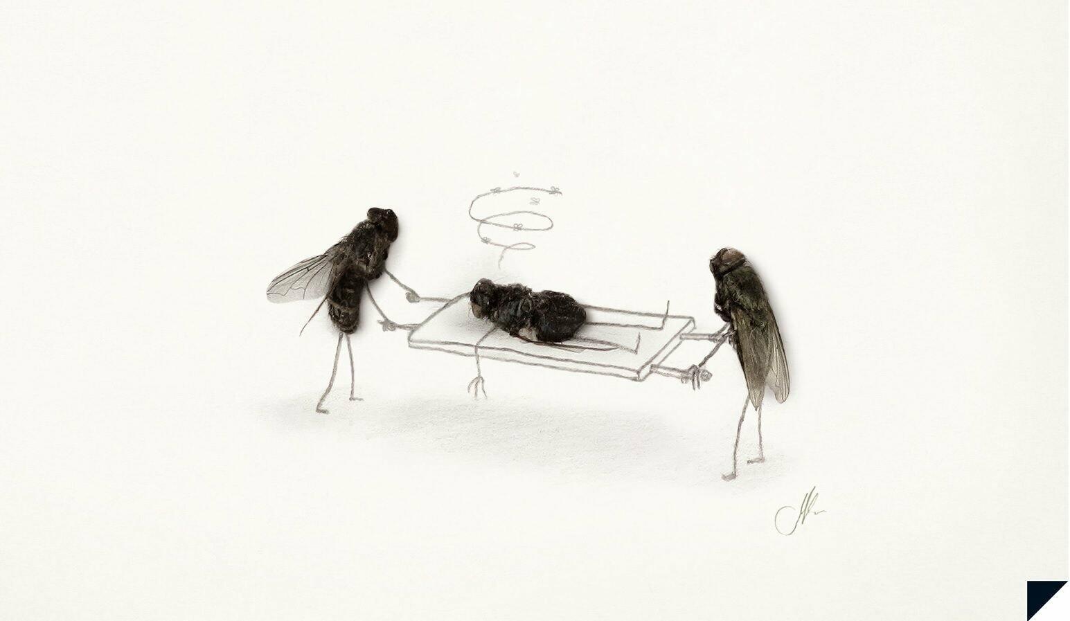 Зелёная муха