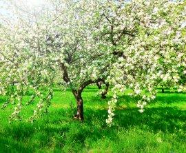 Только бы уцелеть!