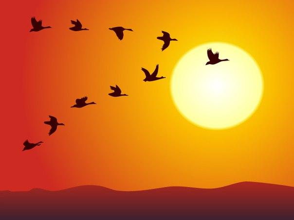 Что же будет завтра?