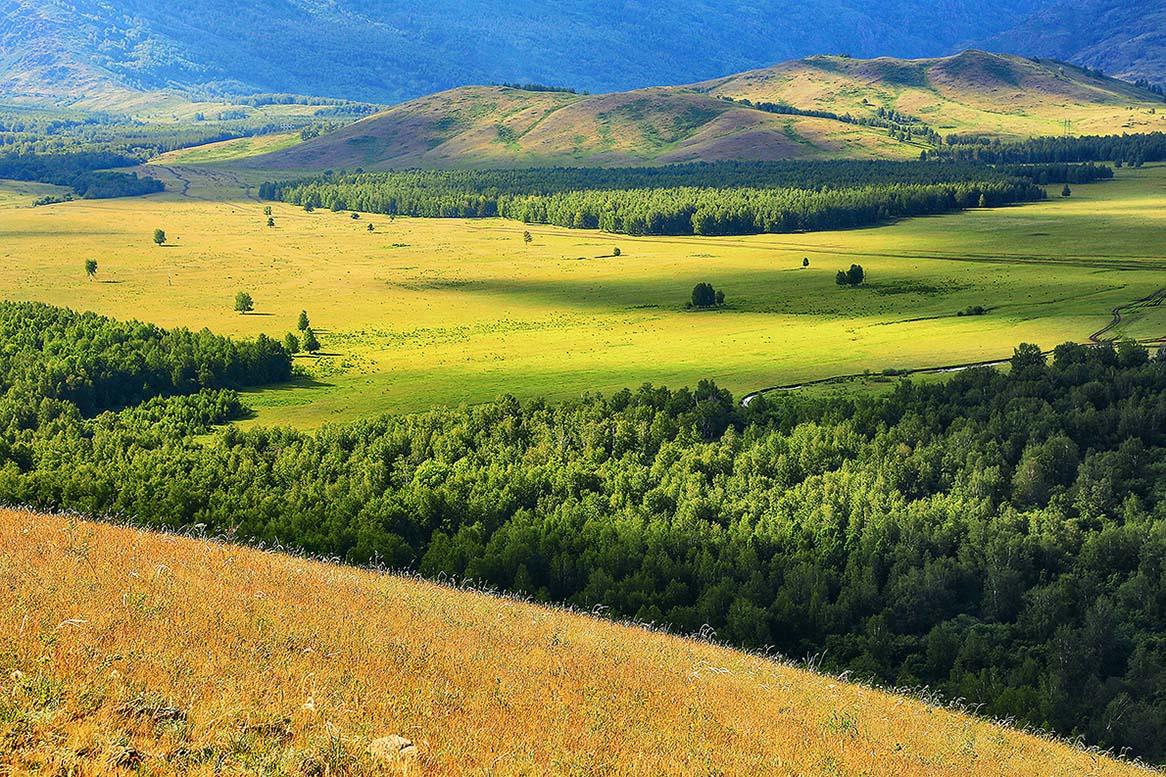 Признание в любви