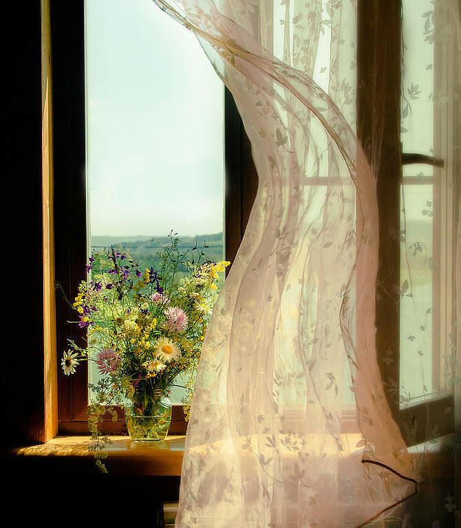 Черновики стихов