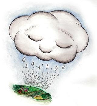 Дождик и лейка