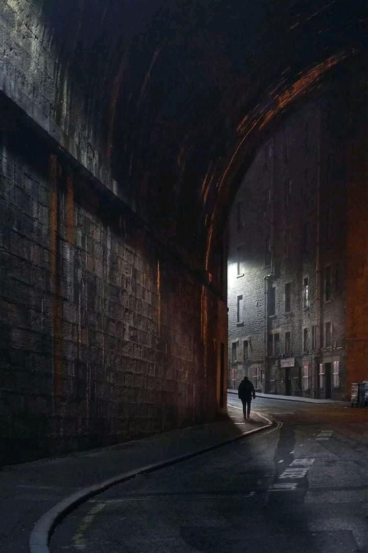 Волк блуждающий открыто...