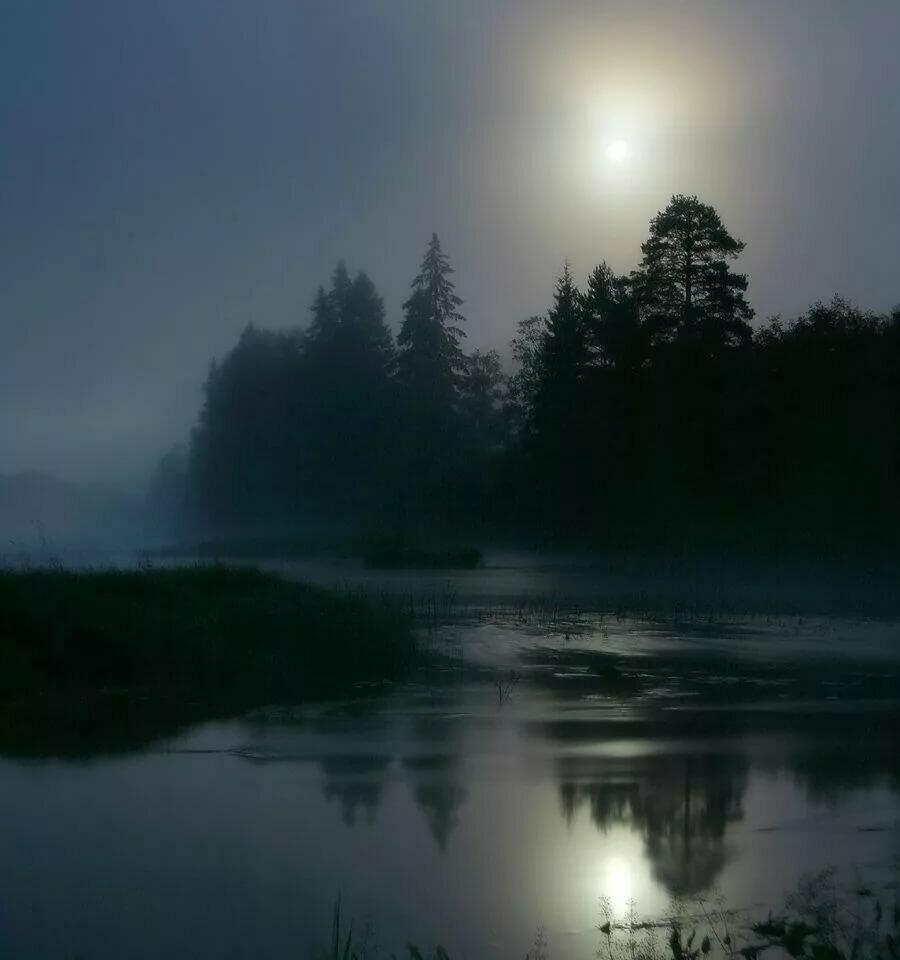 Луна взошла багровая и хмурая. Уснуло озеро безмолвен лес Фет. Лунный пейзаж. Ночные пейзажи природы. Ночное озеро.
