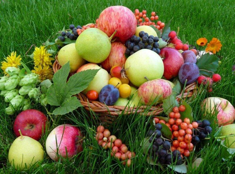 Августовский апофеоз