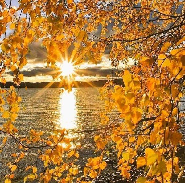 " Давайте жить !!!"