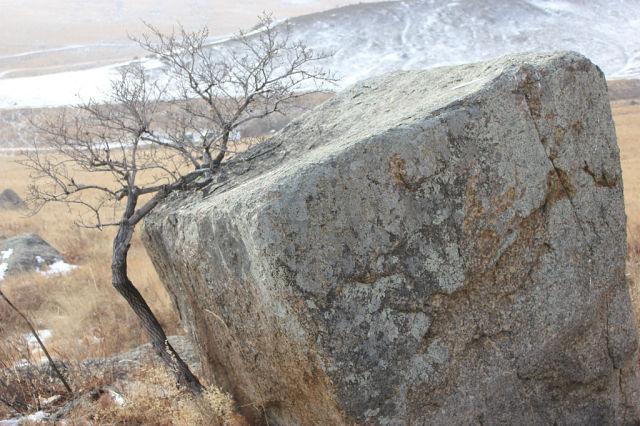 Ты выжить мне помог!