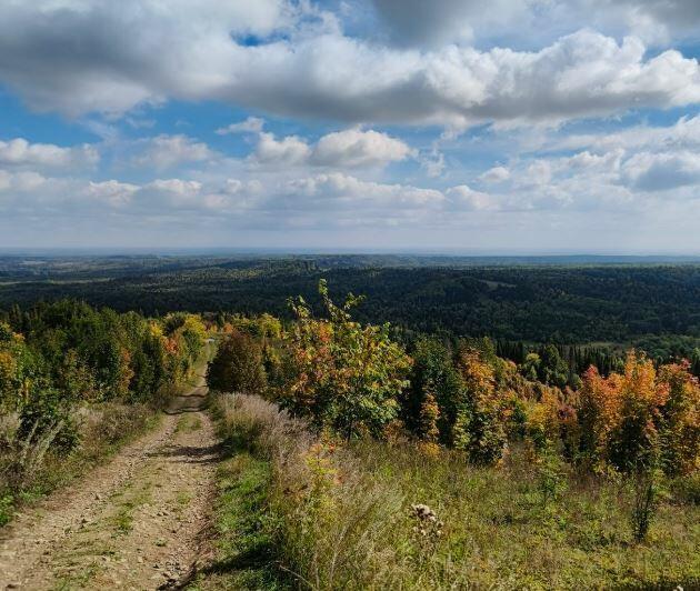 Аромат     жизни
