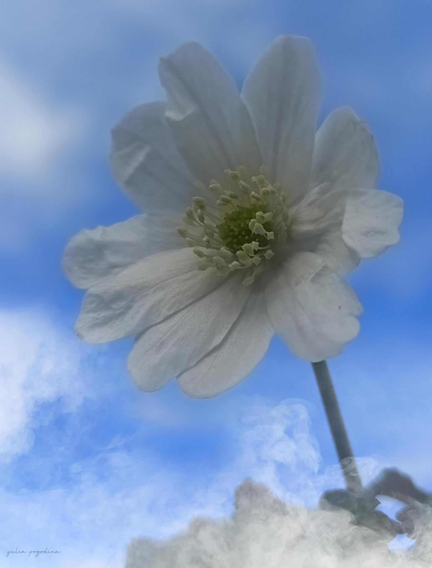 Я весну читаю по слогам 