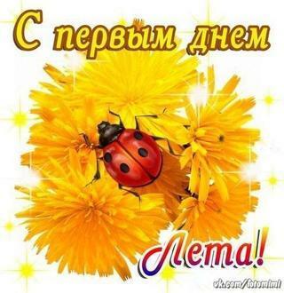 ЛЕТО, ЗДРАВСТВУЙ! РЕМИНИСЦЕНЦИЯ