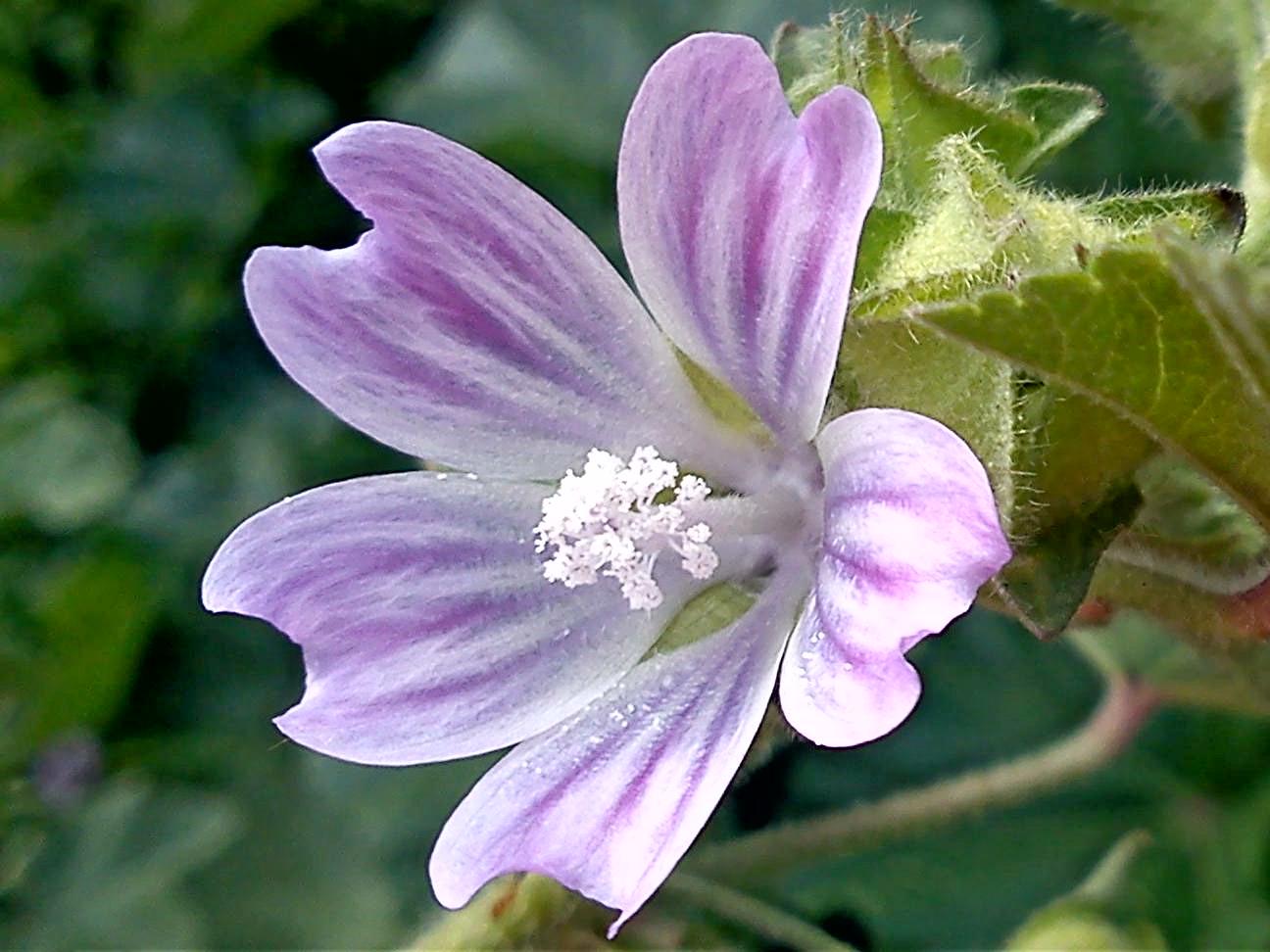 Притчи, глава 16 - перевод с иврита