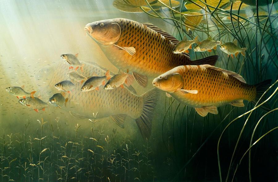 А на речке…(Ах, когда-же Новый Год?)