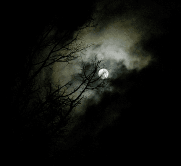 "Время разрыдаться…" (06.04.2026)