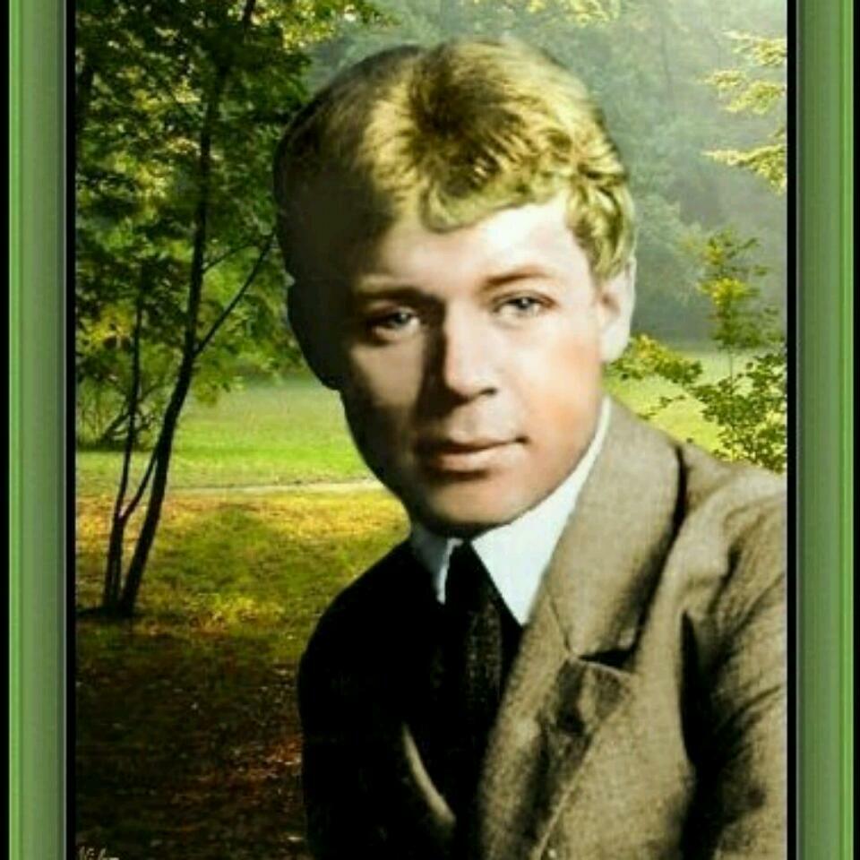 Триптих. Солнечный свет над избушкой...   