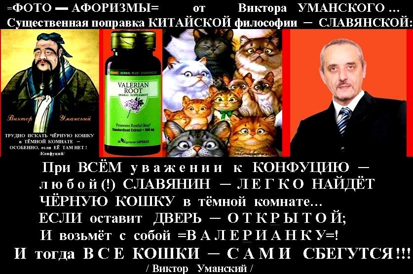 ЧЁРНАЯ КОШКА: =КОНФУЦИЙ  ─  ОТДЫХАЕТ!=