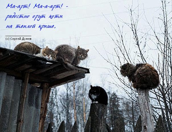 Мартовское хокку