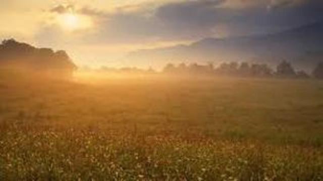 Насмерть прикололо – бытиё...