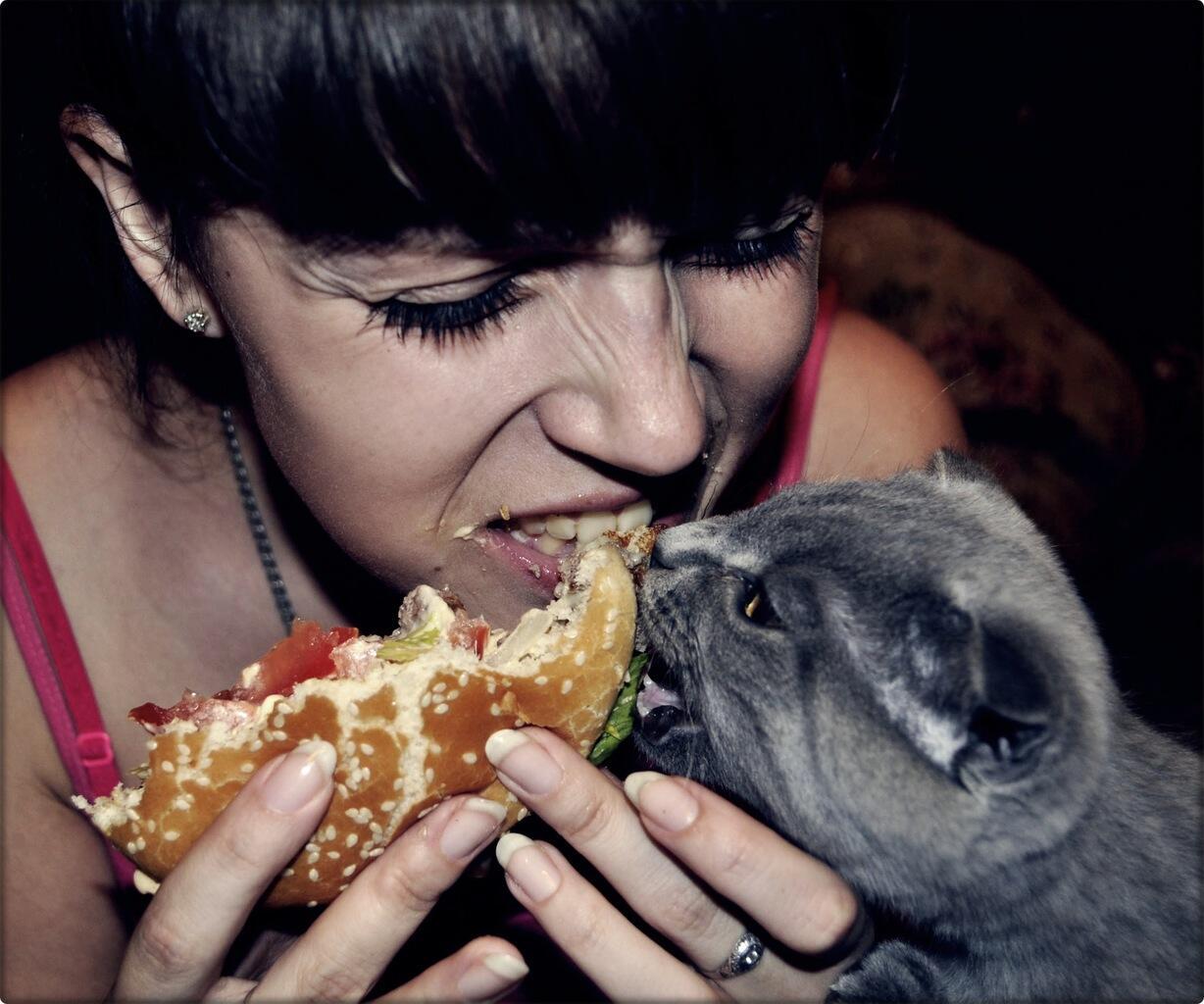 Ем сам рядом. Кот кушает бургер. Девушка кушает с котом. Кот ест гамбургер. Гламурное поедание бургеров.
