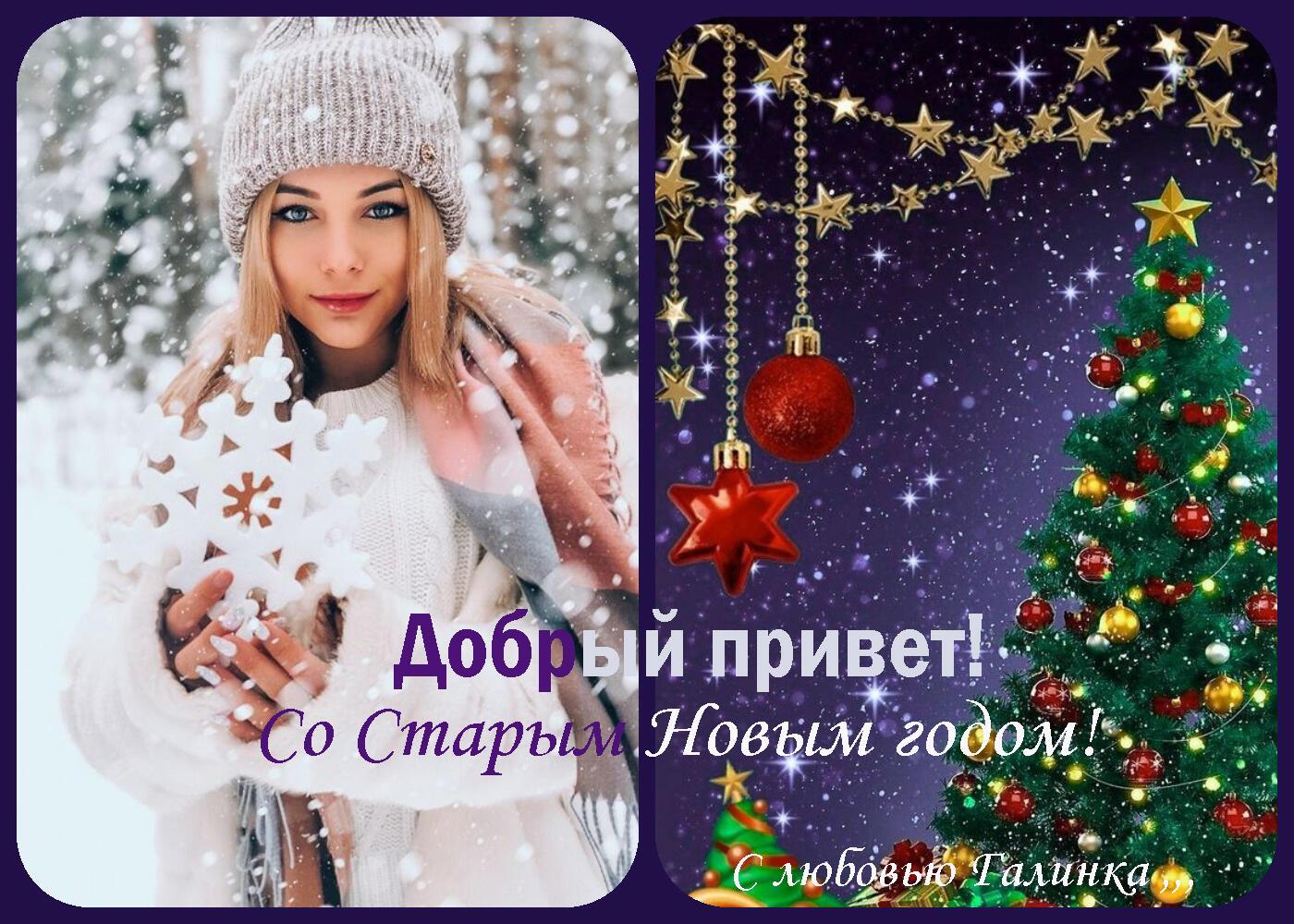 Вот и Новый год стучит в окошко       Галинка Багрецова