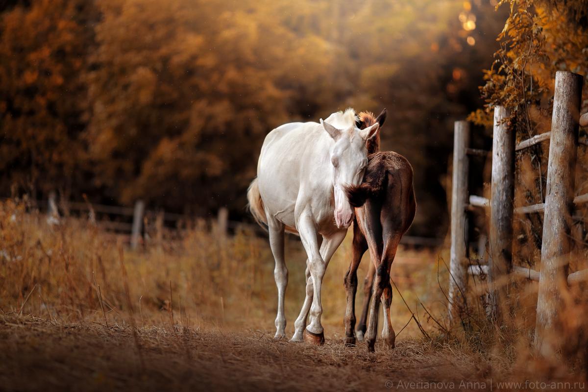Мама  с  дочкой...   по  фото