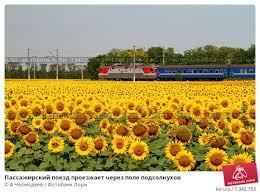 ТЫ ПРИЕЗЖАЛА