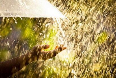 ТО  ДОЖДЬ,  ТО  СОЛНЦЕ...