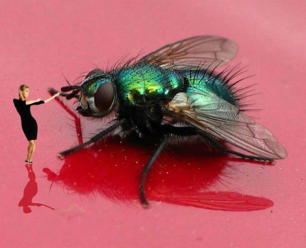 ШЛЁП - (с улыбкой)