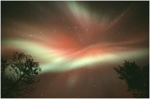 Армия Света