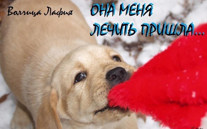 Она меня лечить пришла