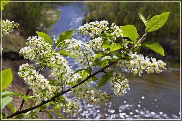 Хочется верить