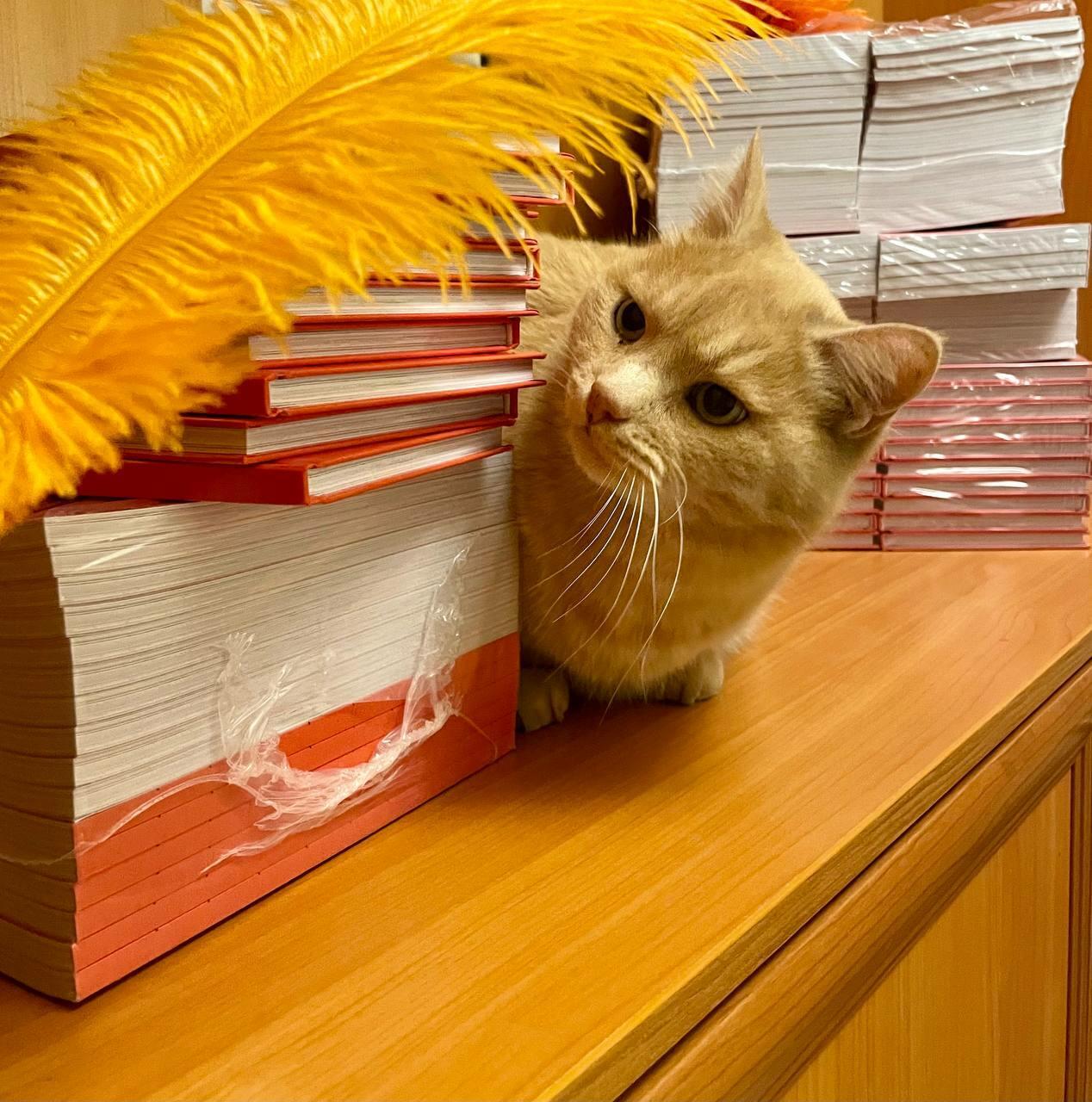 Девятый этаж