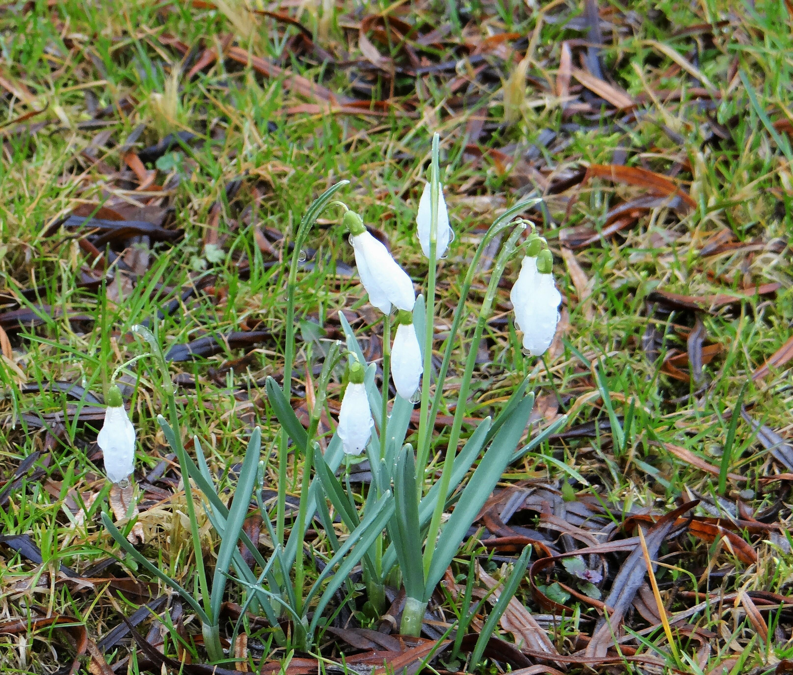 До свидания, Апрель!