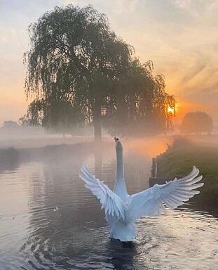 Любимый, Краснокутский край