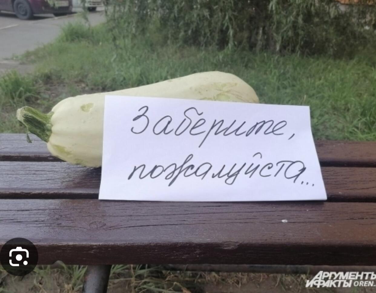 Не кабачком единым