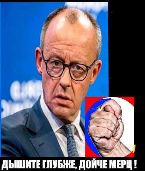 Канцлер Мерц-ему виднее...